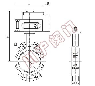 電動(dòng)對(duì)夾蝶閥 結(jié)構(gòu)圖